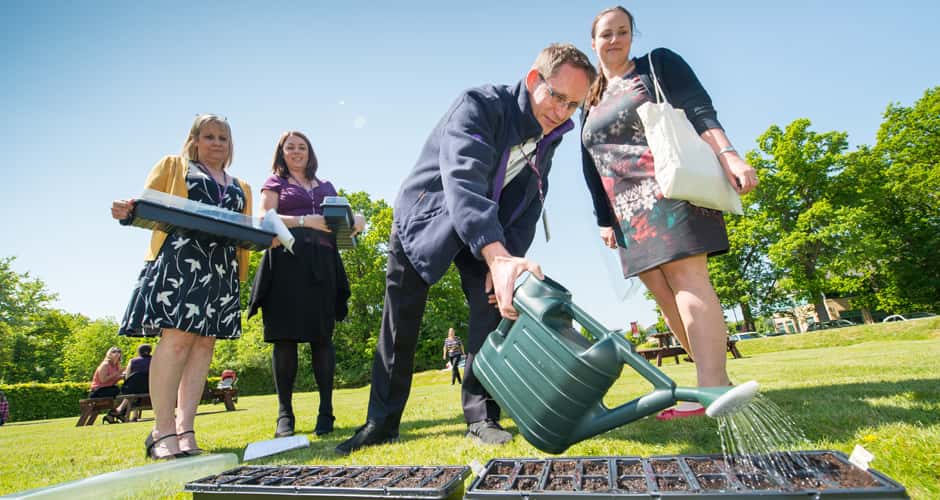 watering seeds outside