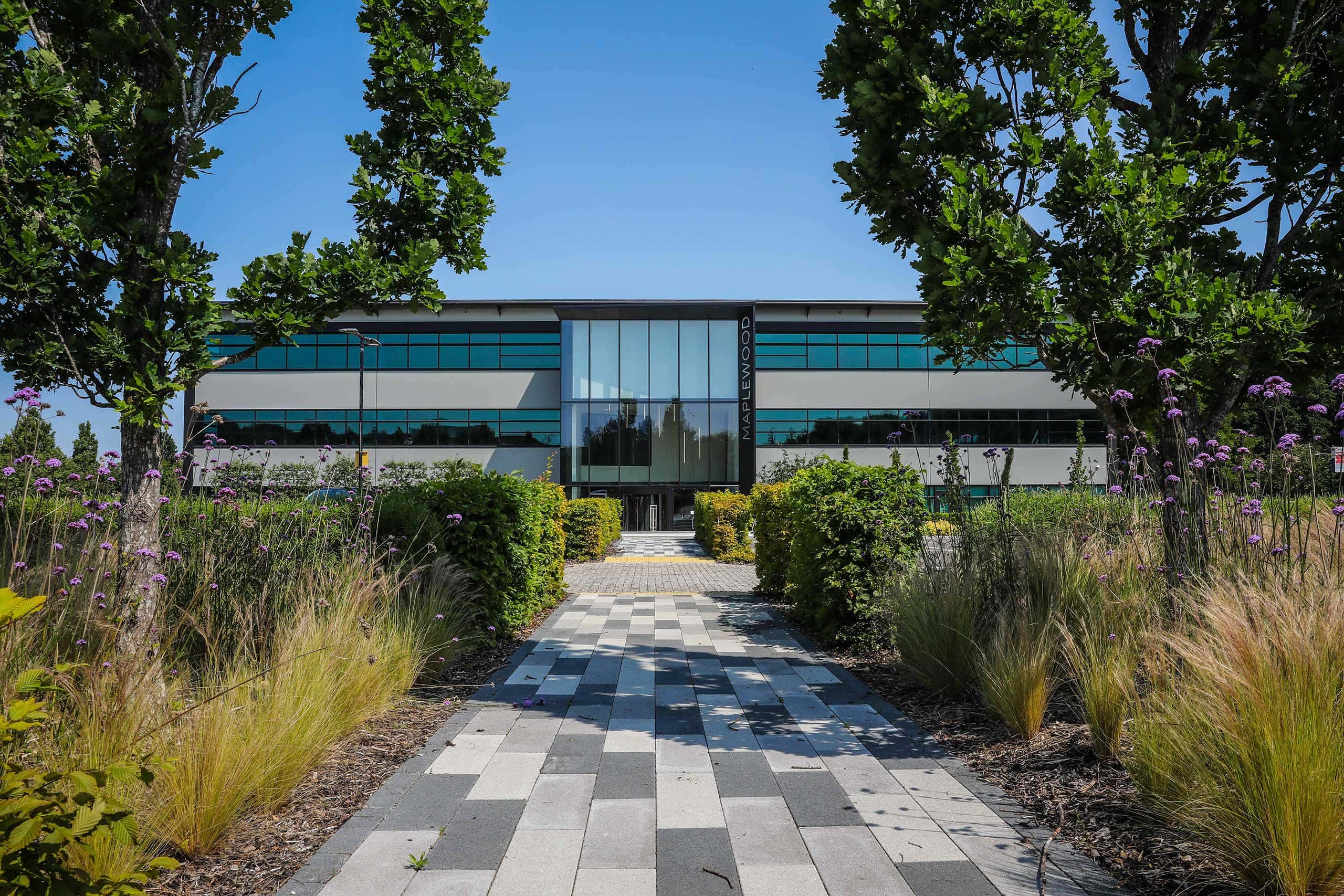 path towards the office