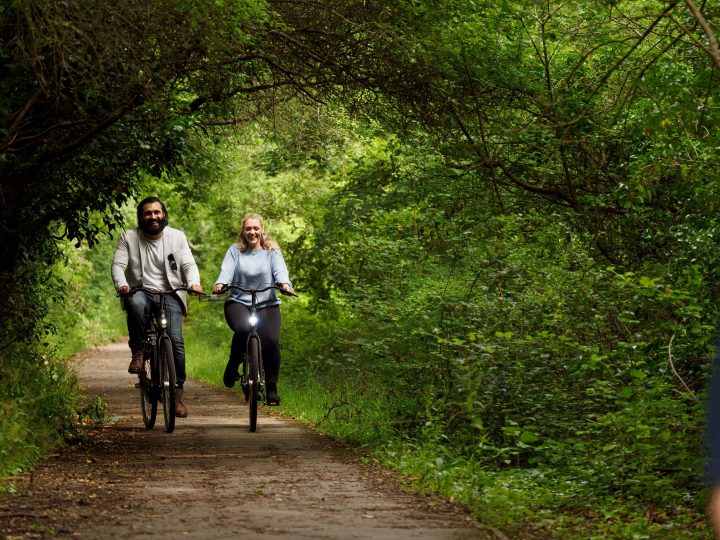 people cycling in forest