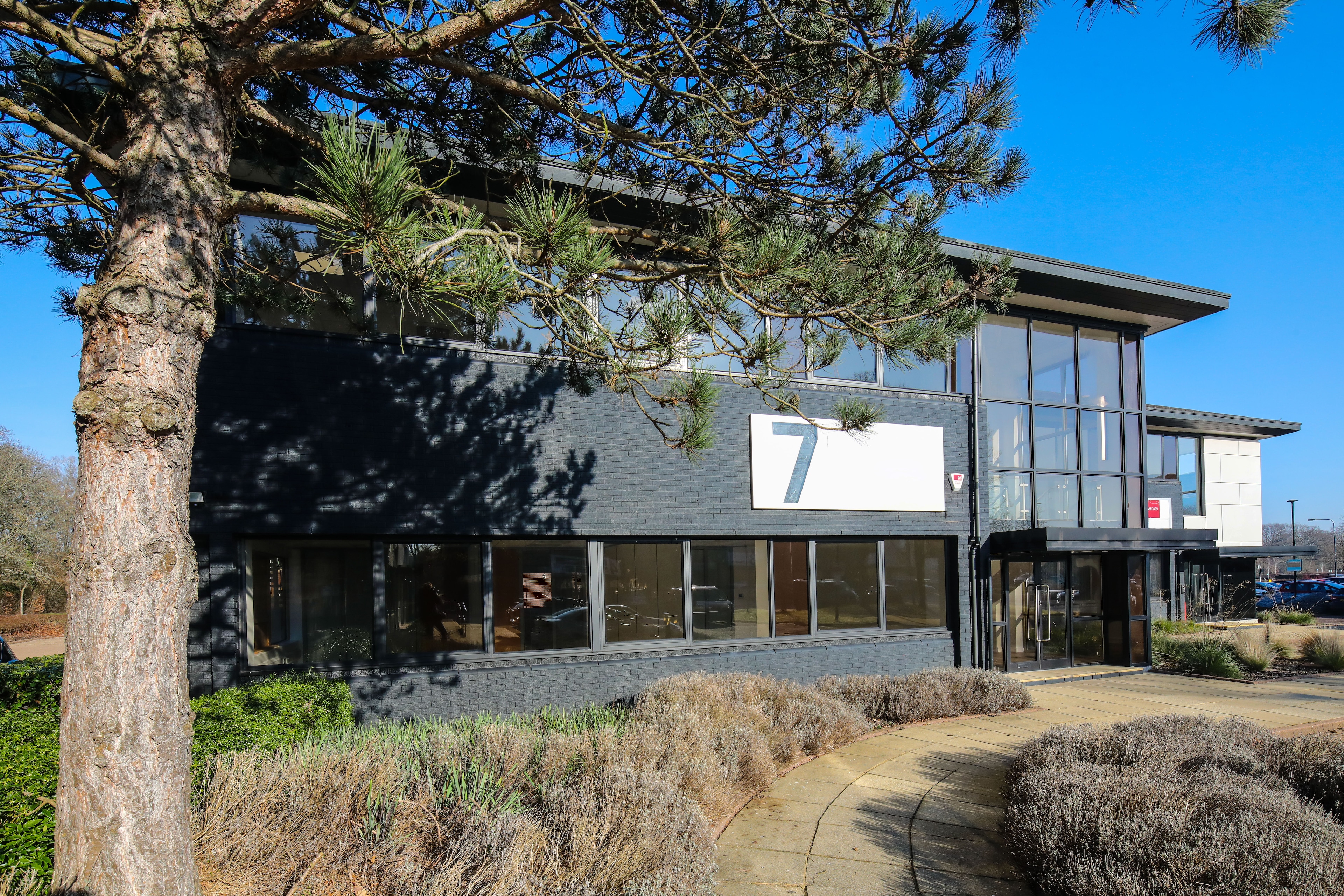 An office building with a tree in front of it.