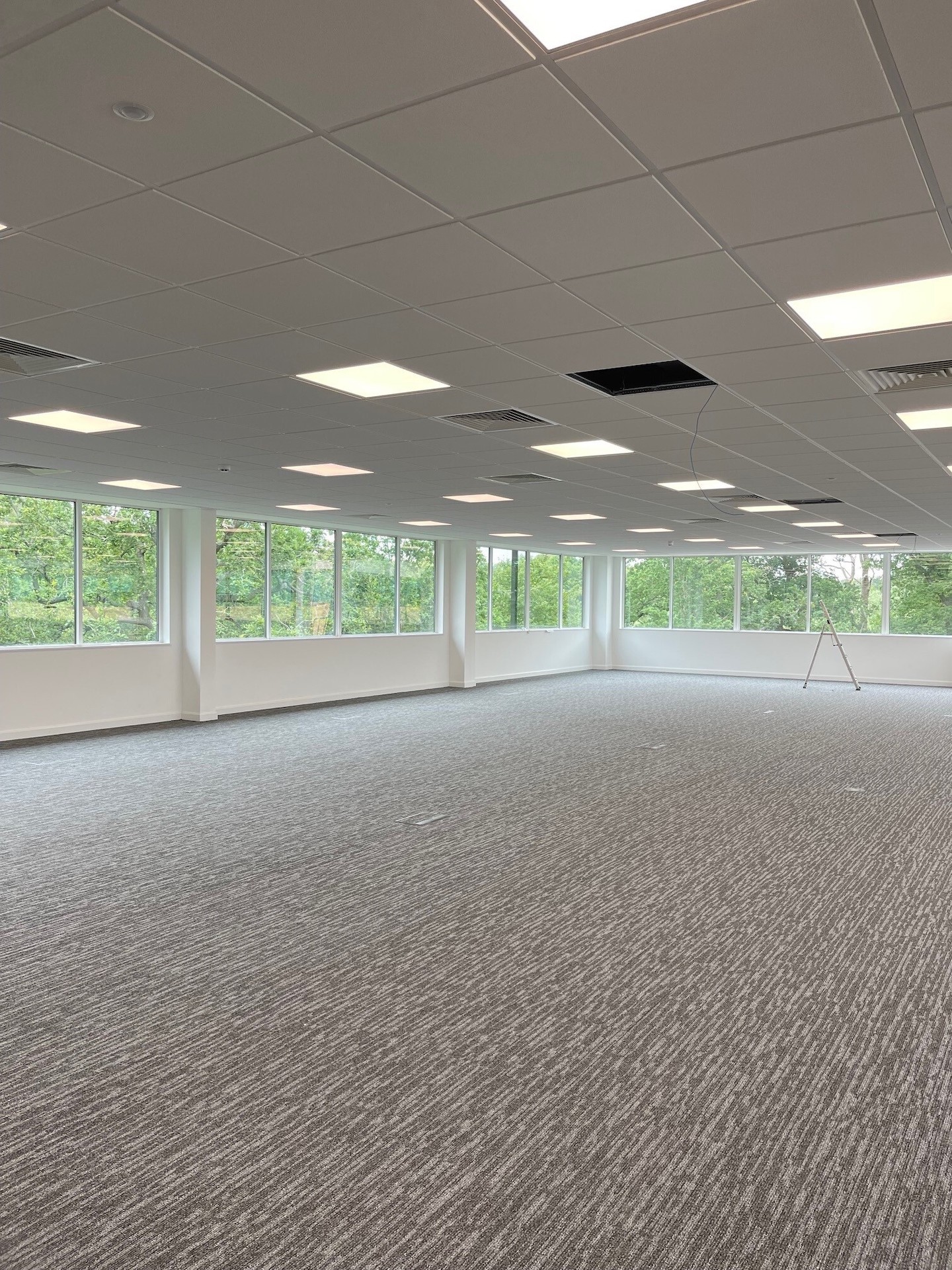 An empty office with large windows and carpet.