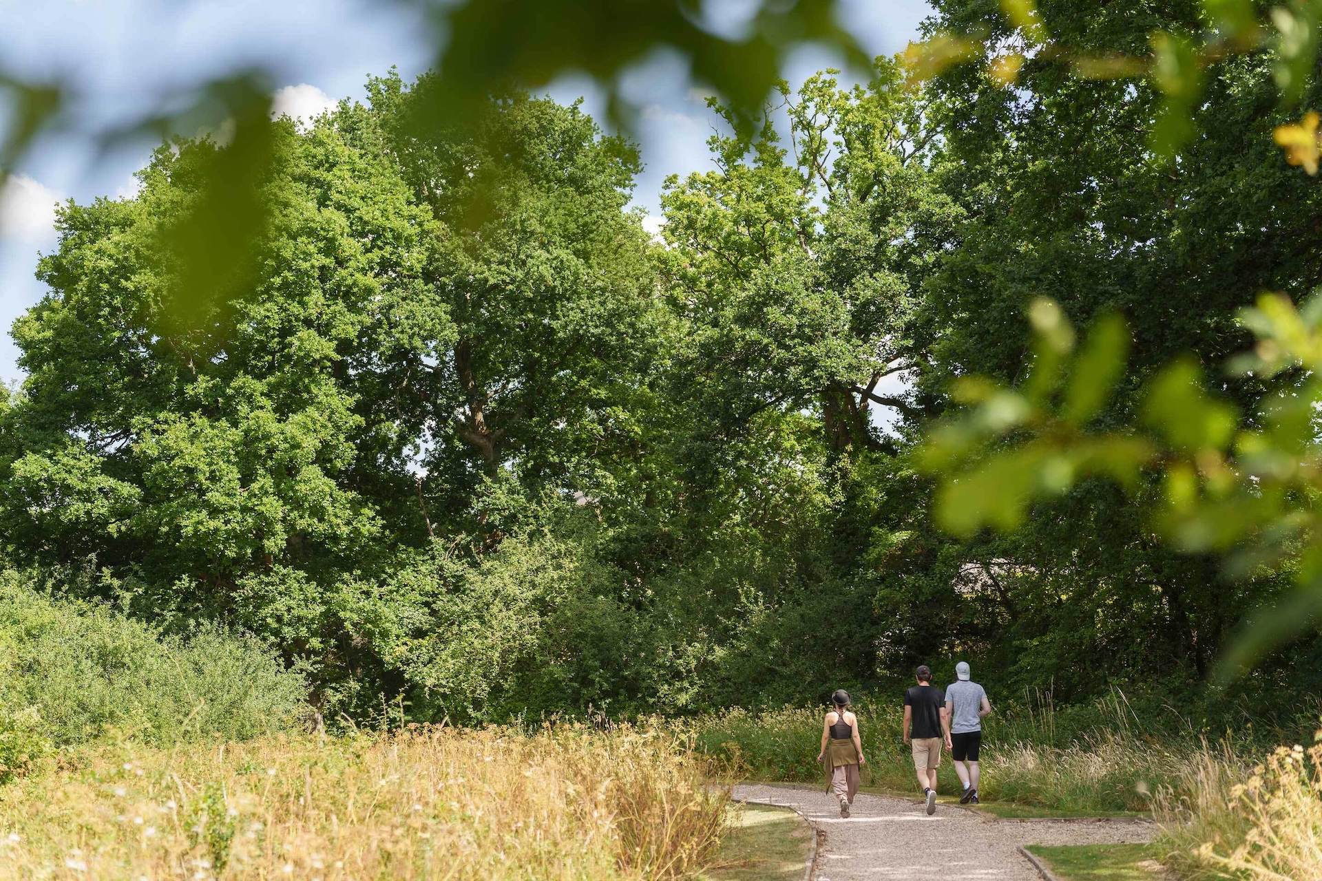 Two people walking down a path in the woods.